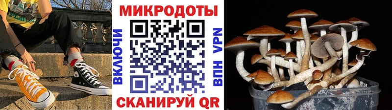 Купить закладки Балаково Галлюциногенные грибы ЛСД